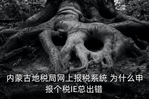 為什么內(nèi)蒙古國地稅網(wǎng)進(jìn)不去，windows7內(nèi)蒙古地稅報(bào)稅系統(tǒng)顯示無法顯示該網(wǎng)頁