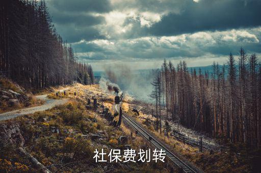 社保費(fèi)征管職責(zé)劃轉(zhuǎn)移交些什么，2020年新疆社會保險(xiǎn)費(fèi)征管職責(zé)劃轉(zhuǎn)包包括哪些內(nèi)容