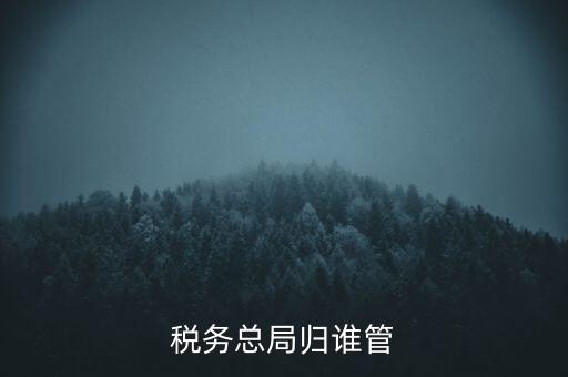 什么部門(mén)監(jiān)管國(guó)稅務(wù)局，稅務(wù)局最怕什么部門(mén)
