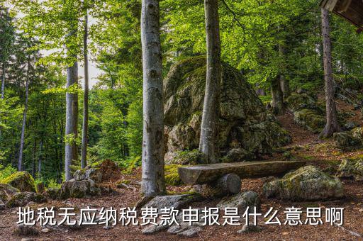 地稅無稅申報包括什么，地稅申報表無稅申報是什么意思我這個月要0申報是點擊