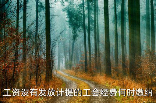 工會(huì)經(jīng)費(fèi)什么時(shí)候開始繳納，印花稅工會(huì)經(jīng)費(fèi)一般什么時(shí)候繳納