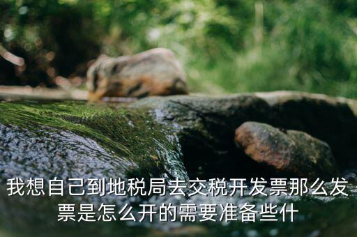 地稅局開票需要什么，到地稅局開發(fā)票需要什么
