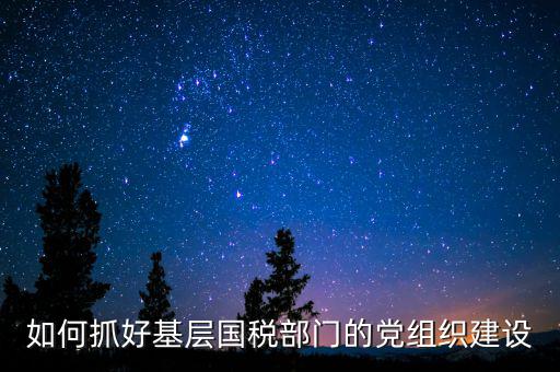 國(guó)稅基層建設(shè)是什么，基層建設(shè)是指什么
