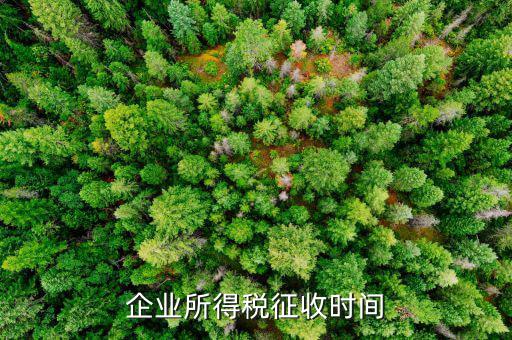 企業(yè)所稅的征收方式什么時(shí)候改，企業(yè)所得稅征收時(shí)間