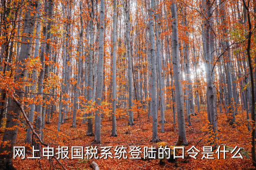 國稅網(wǎng)報口令是什么意思，網(wǎng)上申報國稅系統(tǒng)登陸的口令是什么
