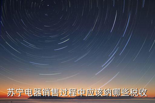 下列什么可以納入稅務，蘇寧電器銷售過程中應該納哪些稅收