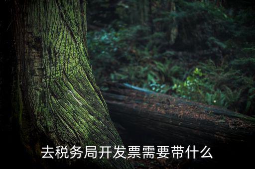 紹興市國稅購增值稅發(fā)票需要帶什么，到稅務局開增值稅專用發(fā)票帶什么