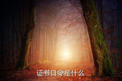 新稅盤證書口令是什么意思，金稅盤口令有什么用