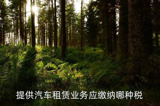個(gè)人出租汽車給公司交什么稅，個(gè)人車輛租給公司個(gè)稅怎么交