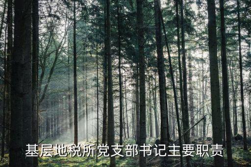 地稅所主體責(zé)任任務(wù)是什么，契稅和耕地占用稅稅務(wù)所的職責(zé)