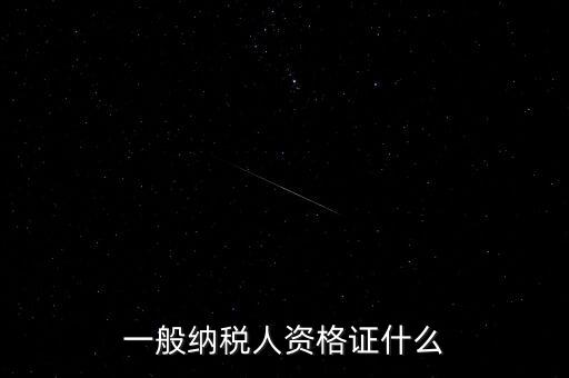 納稅人資格證是什么，一般納稅人的認(rèn)定資格是什么