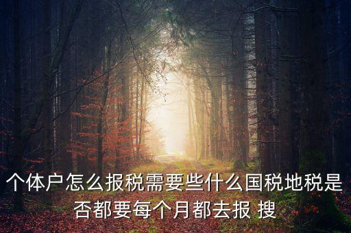 個(gè)體戶報(bào)稅都報(bào)什么，個(gè)體戶怎么報(bào)稅需要些什么國(guó)稅地稅是否都要每個(gè)月都去報(bào) 搜