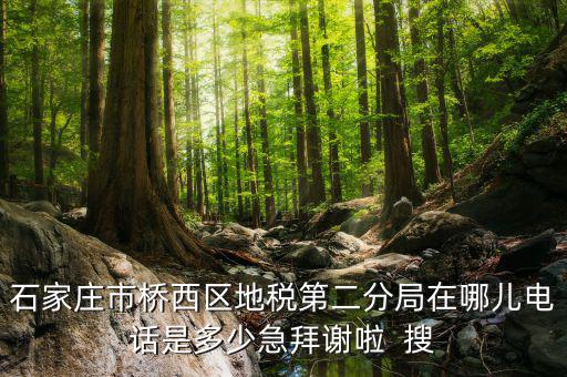 地稅二分局是做什么的，地稅科查局是做什么的
