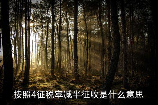 什么情況增值稅4減半，按照4征稅率減半征收是什么意思