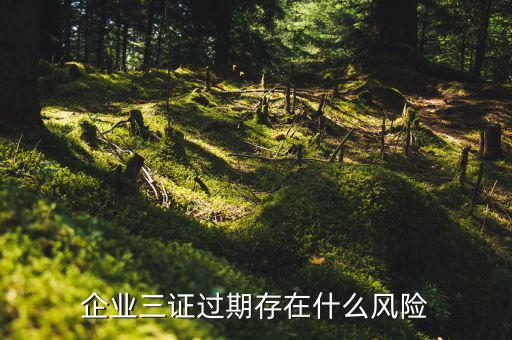 三證過期存在什么風(fēng)險(xiǎn)，超市工商執(zhí)照年檢供貨商三證過期夠不夠罰款