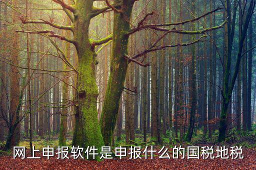 國稅微信申報什么意思，國稅網(wǎng)上申報怎么回事