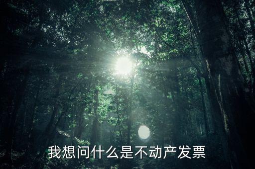 我想問什么是不動產發(fā)票
