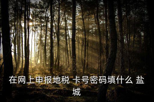 微信申報地稅的密碼是什么，地稅申報的用戶名和密碼是什么