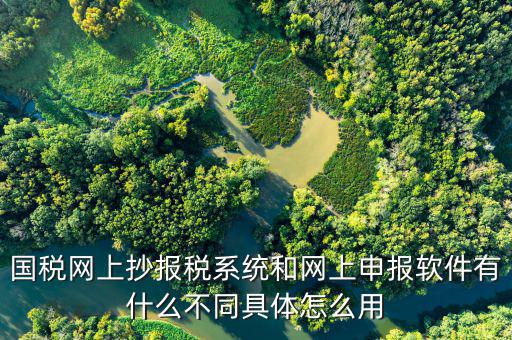 國稅申報(bào)軟件是什么意思，你用過網(wǎng)上申報(bào)軟件嗎是申報(bào)什么的我們公司有河北國稅納稅人端