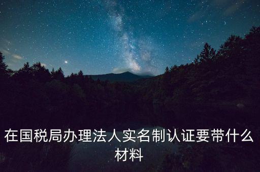 服務廳實名辦稅要帶什么，服務業(yè)辦稅務登記要些什么證件