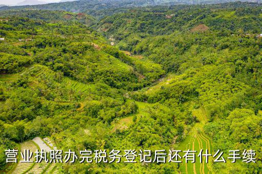稅務(wù)登記以后需要什么，公司設(shè)立后辦理稅務(wù)登記要準(zhǔn)備哪些資料