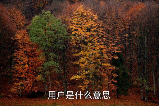 稅局用戶是什么意思，國(guó)稅局發(fā)票軟件里用戶代碼和密碼是什么