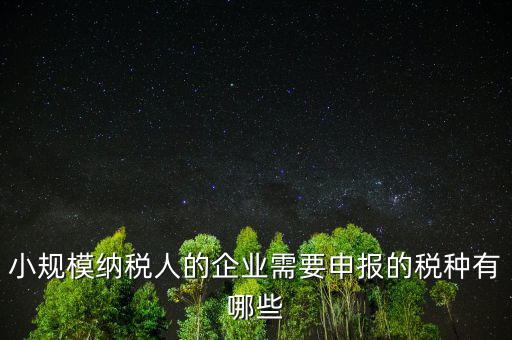 國稅小企業(yè)報什么稅，無錫 一般納稅人 小企業(yè)納稅人 國稅 地稅 分別要報哪些