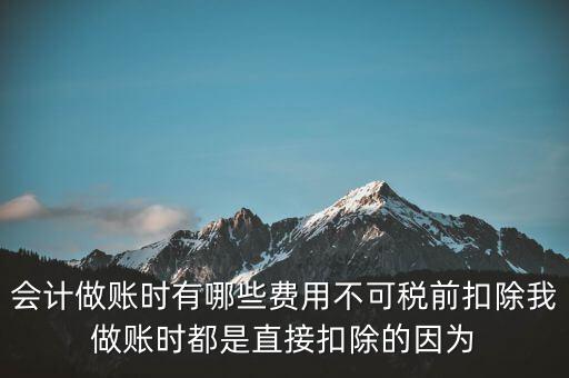 什么不可以稅前扣除嗎，納稅人哪些支出不能在企業(yè)所得稅前扣除