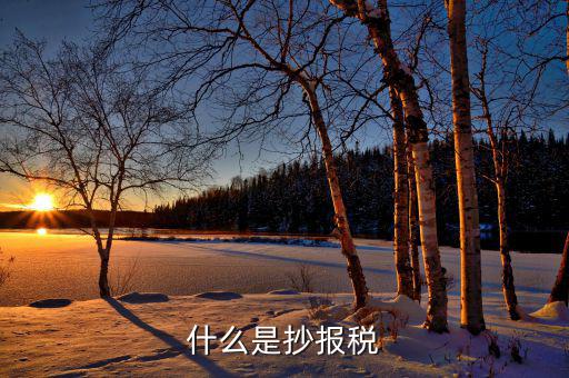 什么是抄稅報(bào)稅申報(bào)，抄稅和報(bào)稅是什么意思 應(yīng)該怎么做呢