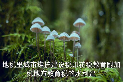 水利建設(shè)基金的計(jì)稅基礎(chǔ)是什么，計(jì)稅基礎(chǔ)是什么意思