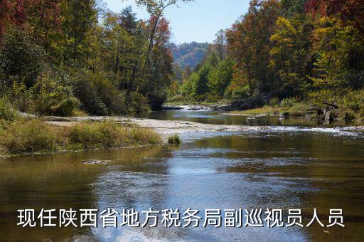 稅務(wù)局調(diào)研員是什么，一個縣區(qū)的稅務(wù)系統(tǒng)的局長職位是調(diào)研員還是主任科員