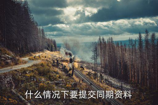 本年度同期資料是什么意思，什么情況下要提交同期資料