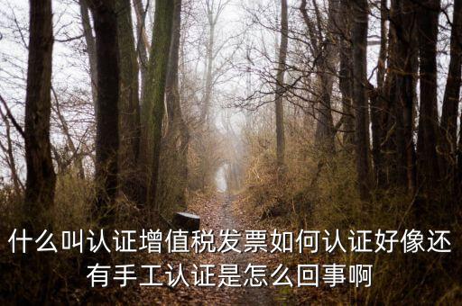 什么叫發(fā)票認(rèn)證，什么叫認(rèn)證增值稅發(fā)票如何認(rèn)證好像還有手工認(rèn)證是怎么回事啊