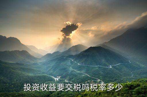 投資收益要交什么稅，投資收益要交稅嗎稅率多少