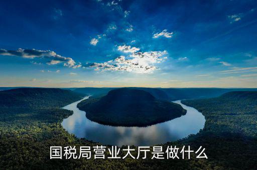 辦稅廳主要干什么，辦稅服務(wù)廳的基本服務(wù)包括哪些