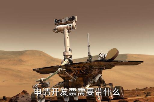 辦稅務(wù)發(fā)票需什么手續(xù)，申請(qǐng)開發(fā)票需要帶什么