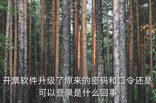 金稅盤開票密碼和口令是什么意思，口令和密碼有什么區(qū)別
