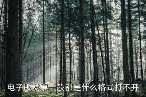 微發(fā)票助手是什么格式，exa是什么格式
