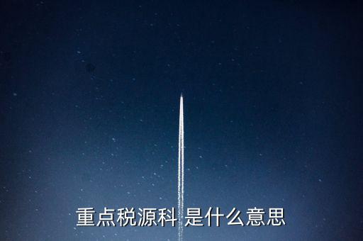 為什么要填重點稅源表，重點稅源的介紹