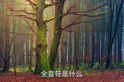一戶式是什么，服裝SKU是指什么有什么實(shí)際應(yīng)用意義
