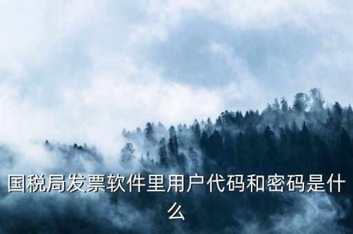 網(wǎng)上認(rèn)證發(fā)票平臺密碼是什么樣的，國稅局發(fā)票軟件里用戶代碼和密碼是什么