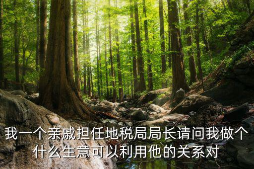 國稅局長可以干什么，東營地稅局局長有多大權(quán)力他能管什么啊