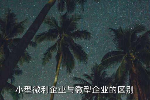 小型微利企業(yè)指的是什么，小型微利企業(yè)與微型企業(yè)的區(qū)別