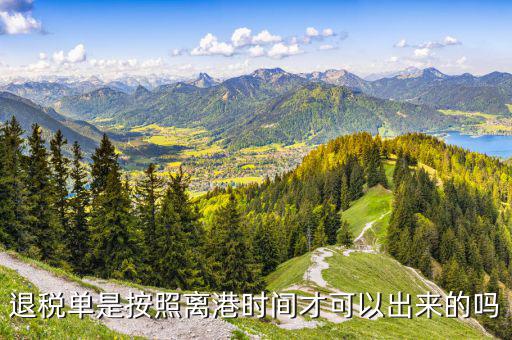退稅單一般什么時候下來，退稅單是按照離港時間才可以出來的嗎