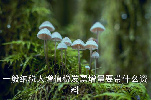 增加開票人需要什么資料，申請開票人變更需要哪些材料