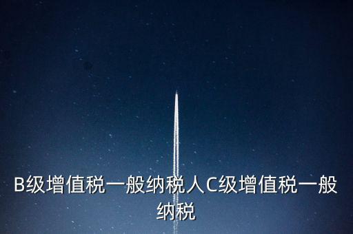納稅用戶c級企業(yè)是什么意思，B級增值稅一般納稅人C級增值稅一般納稅