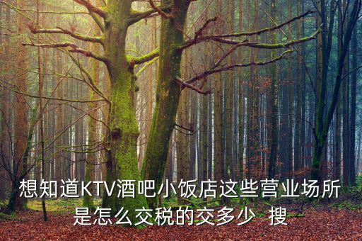 ktv交納什么稅，想知道KTV酒吧小飯店這些營業(yè)場所是怎么交稅的交多少  搜