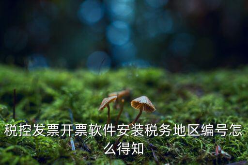 發(fā)票地區(qū)編號(hào)填什么，稅控發(fā)票開票軟件安裝稅務(wù)地區(qū)編號(hào)怎么得知