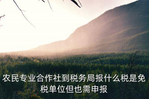 合作社應(yīng)報(bào)什么稅，農(nóng)民專業(yè)合作社是怎樣報(bào)稅的是企業(yè)還是個(gè)體戶