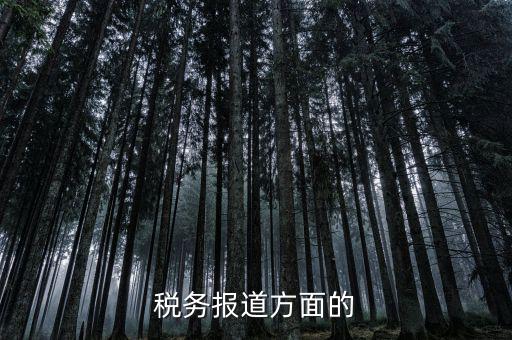 稅務報道方面的